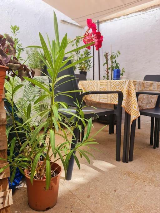 Estancia De Ensueno Y Relax Parking Gratuito Гранада Екстер'єр фото