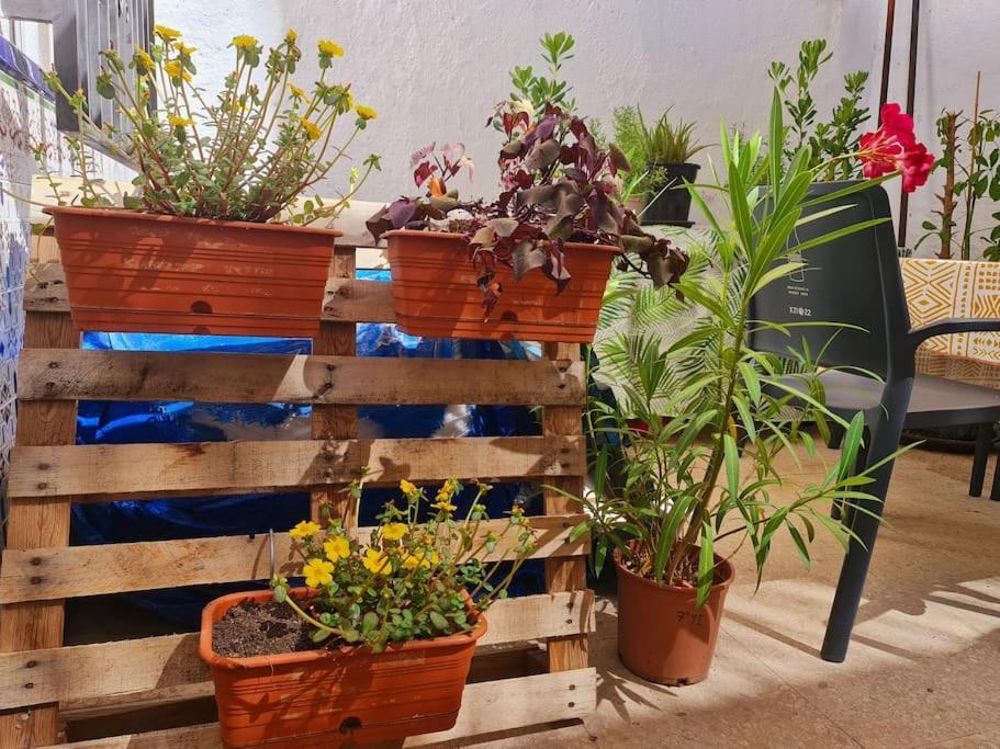 Estancia De Ensueno Y Relax Parking Gratuito Гранада Екстер'єр фото